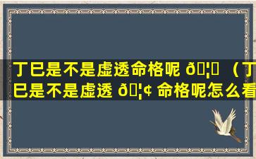 丁巳是不是虚透命格呢 🦟 （丁巳是不是虚透 🦢 命格呢怎么看）